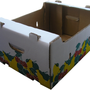 Meyve Kasası ve Meyve Kutusu